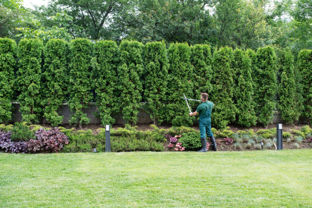 Leaf Removal in Lonsdale, MN